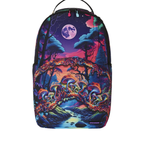 EARTHING DLXR BACKPACK